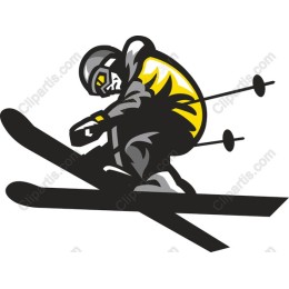 Dynamic Skiing