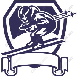 Dynamic Skiing Emblem