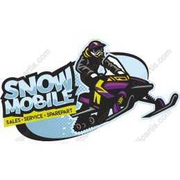 Snowmobile Adventure
