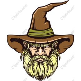 Wizard Hat