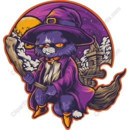 Whimsical Black Cat Sorcerer