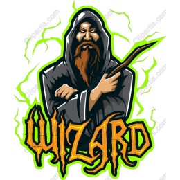 Mystical Wizard
