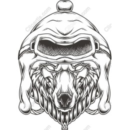 Fierce Bear Ski
