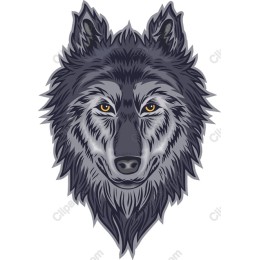 Majestic Wolf Head