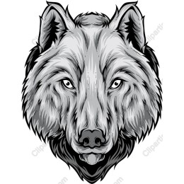 Wolf Head