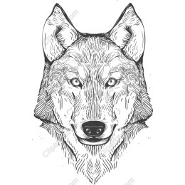 Majestic Wolf Head