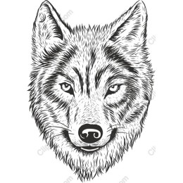 Wolf - Majestic and Intricate