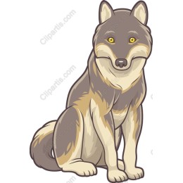 Gray Wolf