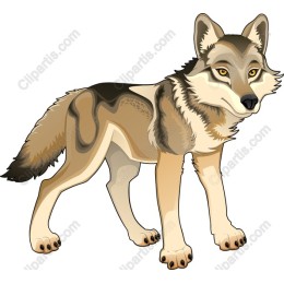Majestic Wolf
