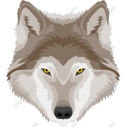 Wolf Head