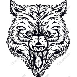 Fierce Wolf Head