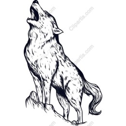 Majestic Howling Wolf