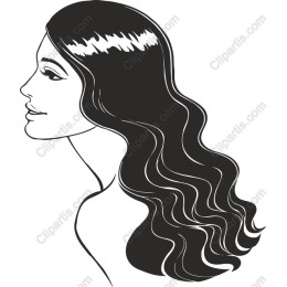 Elegant Woman Profile
