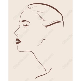 Elegant Minimalist Profile