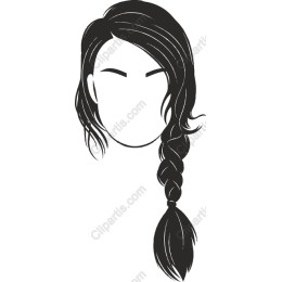 Elegant Braided Hair