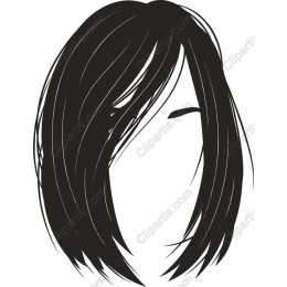 Elegant Women's Hairstyle