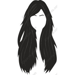 Elegant Long Hair