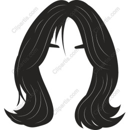 Elegant Long Hair