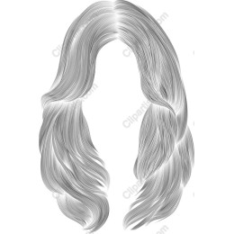 Elegant Silver Hair
