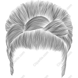 Elegant Hair Updo