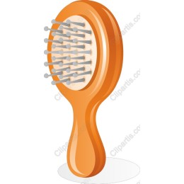 Stylish Hairbrush