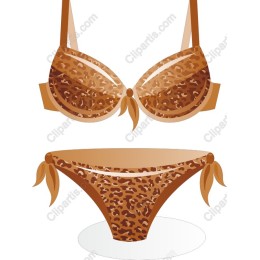 Leopard Print Bikini
