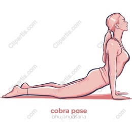 Cobra Pose - Bhujangasana