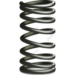 Dynamic Spring