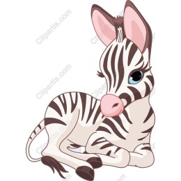 Adorable Zebra Cub
