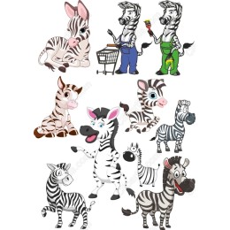 Zany Zebra Set