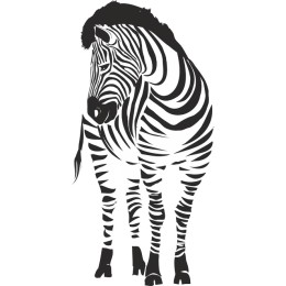 Elegant Zebra