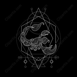 Elegant Scorpion