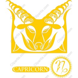 Capricorn Zodiac
