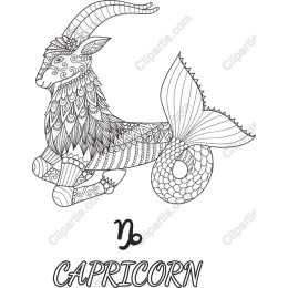 Capricorn Mermaid
