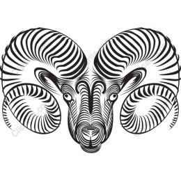 Zebra-Inspired Ram
