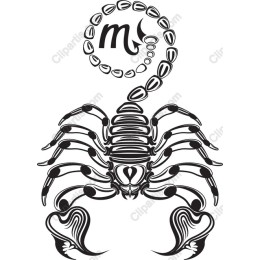Scorpio Zodiac