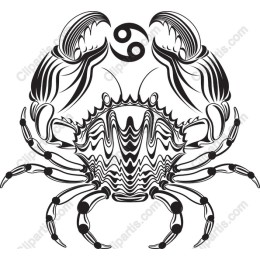 Intricate Marine Life Crab
