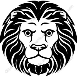 Majestic Lion Face