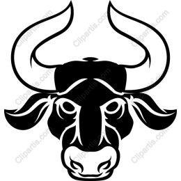 Black and White Bull