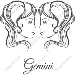 Gemini Dual Profile