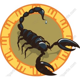 Scorpion - Zodiac Insect