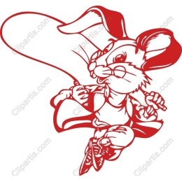 Superhero Bunny