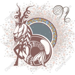 Capricorn Zodiac