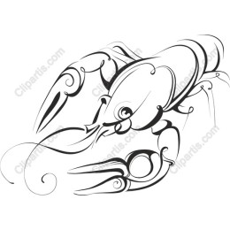 Elegant Crab