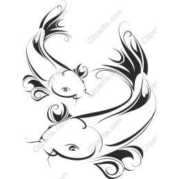Elegant Koi Fish
