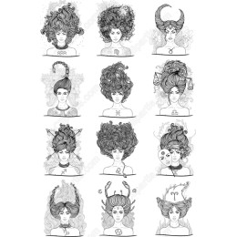 Zodiac Hair Set