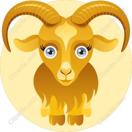 Playful Goat