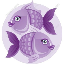 Purple Fish Duo