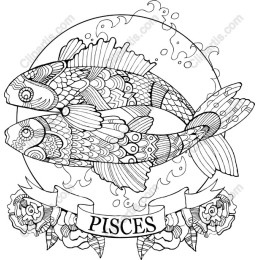 Elegant Pisces Zodiac