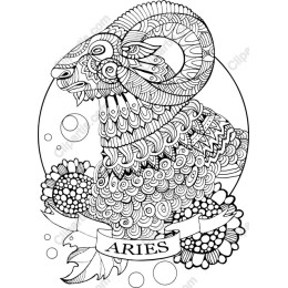 Aries Zodiac